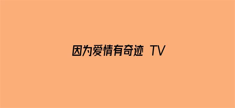 因为爱情有奇迹 TV版